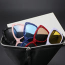 Óculos Clip On Dani (6 em 1) - Eleganzi